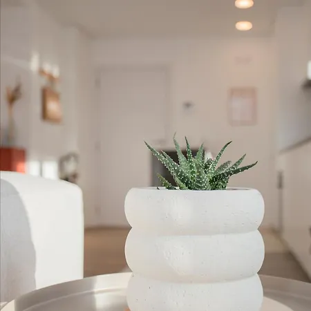 Liiiving In Gaia - Cooper I * Bandeira