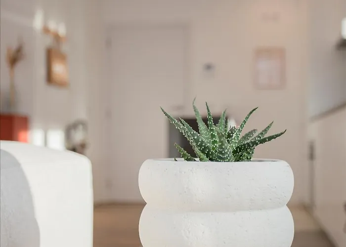 Liiiving In Gaia - Cooper I * Vila Nova de Gaia